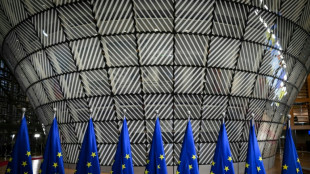 Asile: l'UE liste des pays "sûrs", Rome salue un "succès"